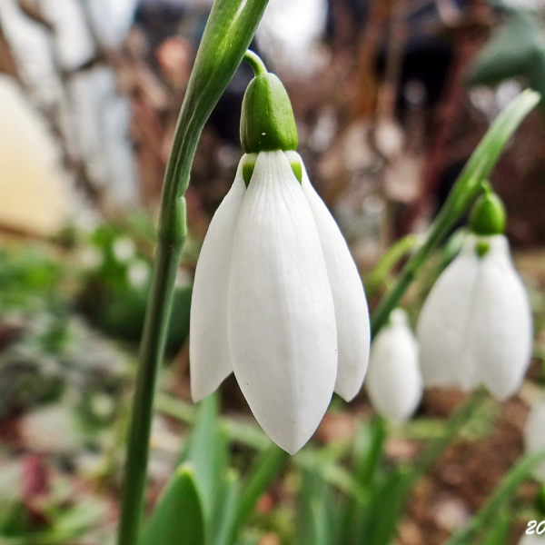 Untitled design (32)