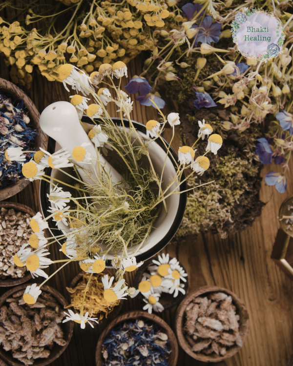 Untitled design (58)